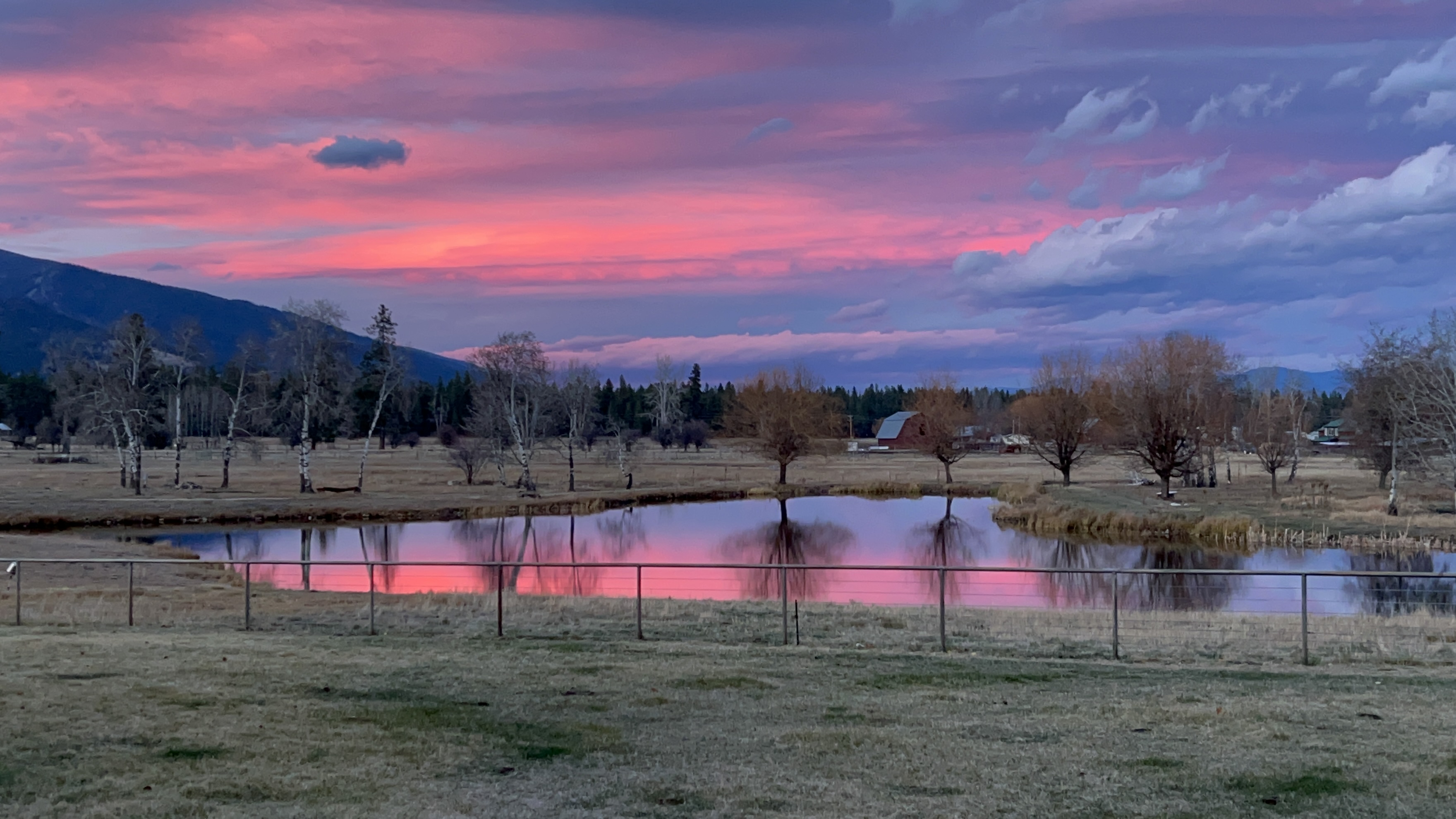 Bison on sand by the water