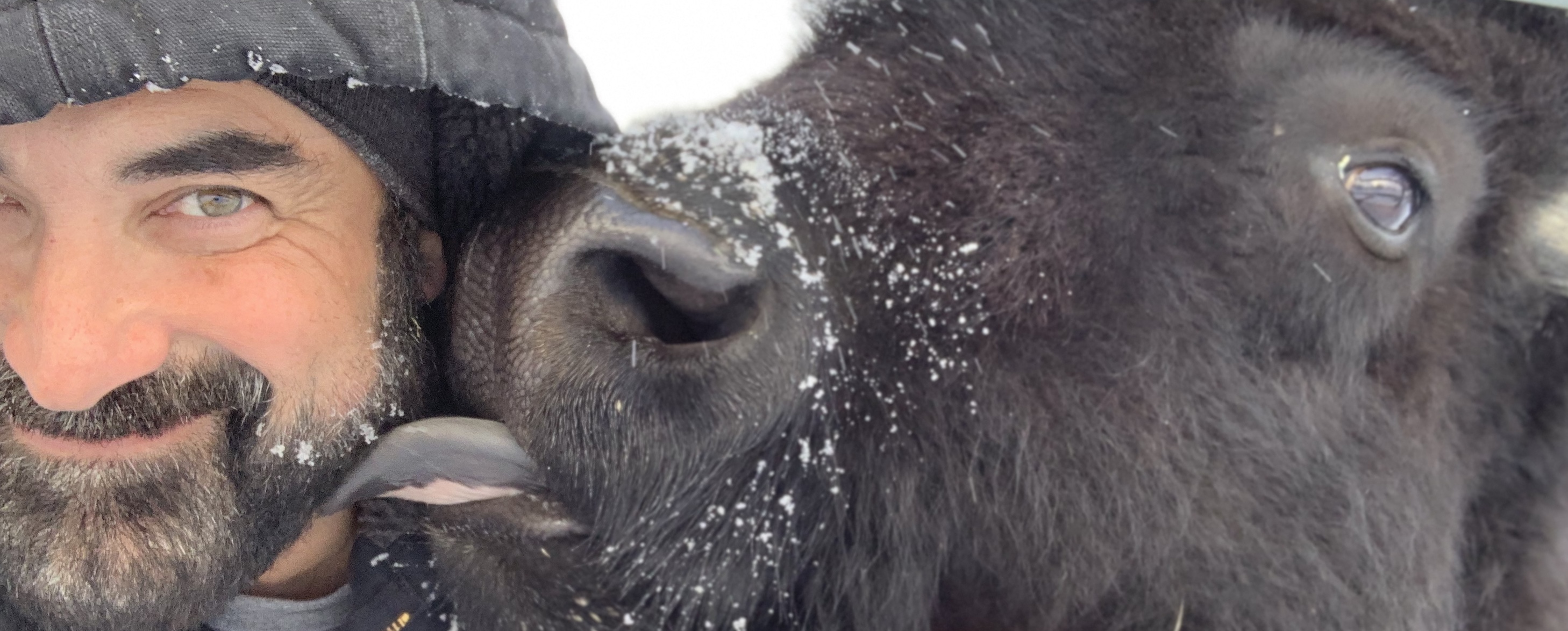 Jaysen McCleary face to face with a bison in winter